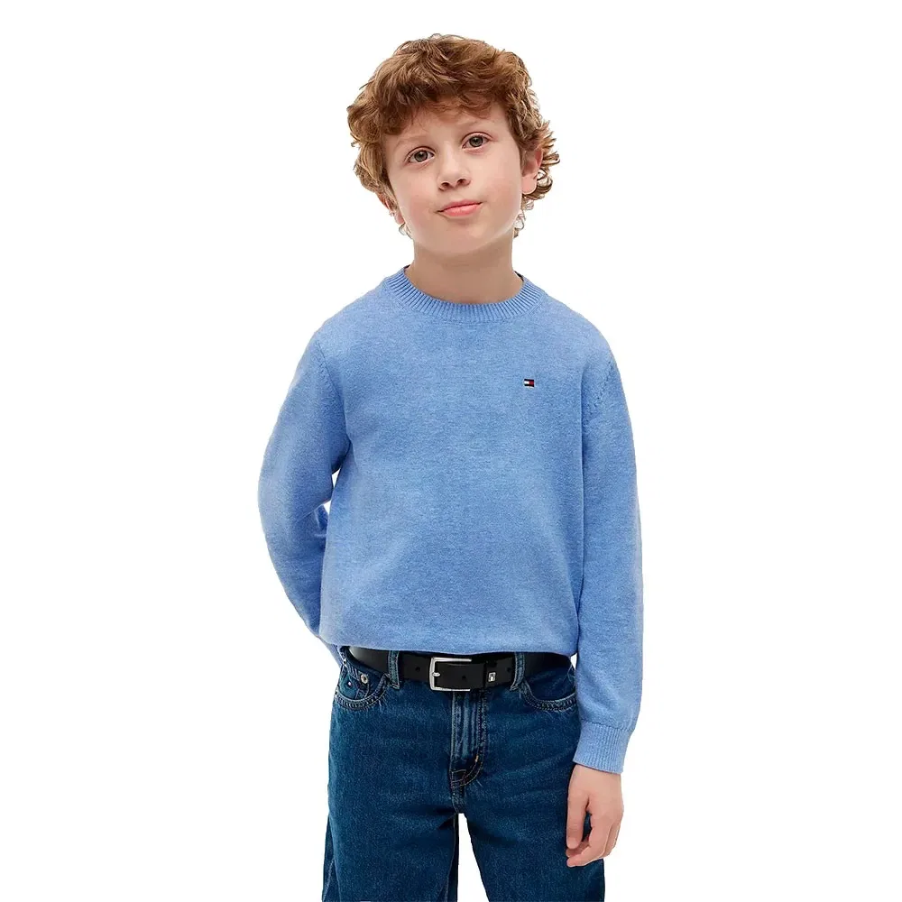 Детский свитшот для мальчиков из хлопка Tommy hilfiger, Blue