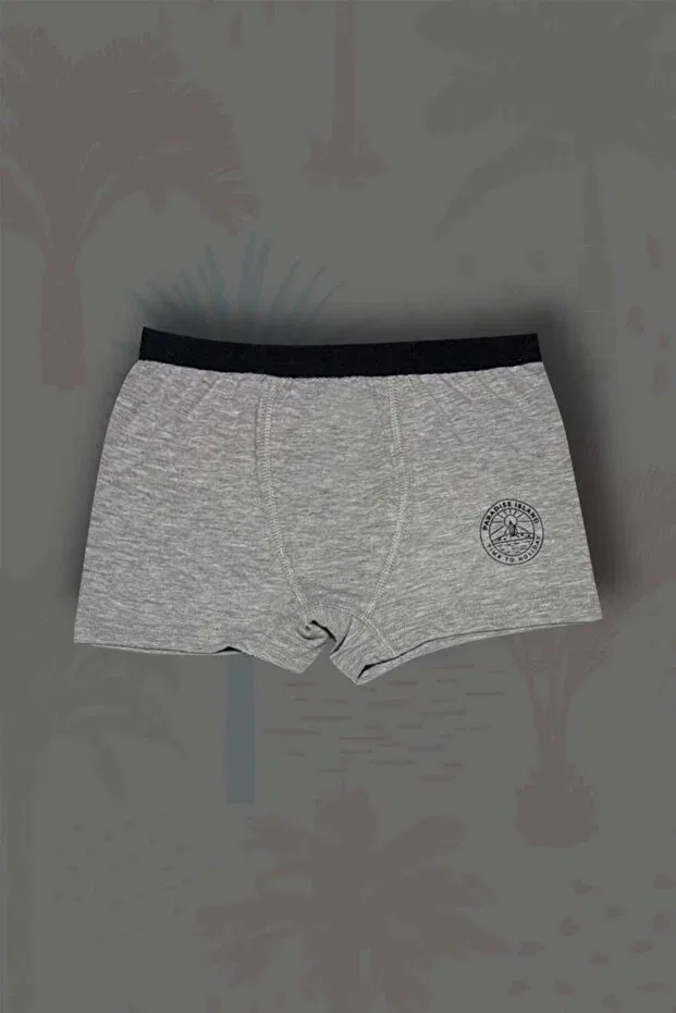 Детский комплект боксеров для мальчиков хлопковый с принтом 3-Piece boys' cotton island printed boxer set Gri Mor Tekstil, Gray/Charcoal/Navy Blue — фото 3