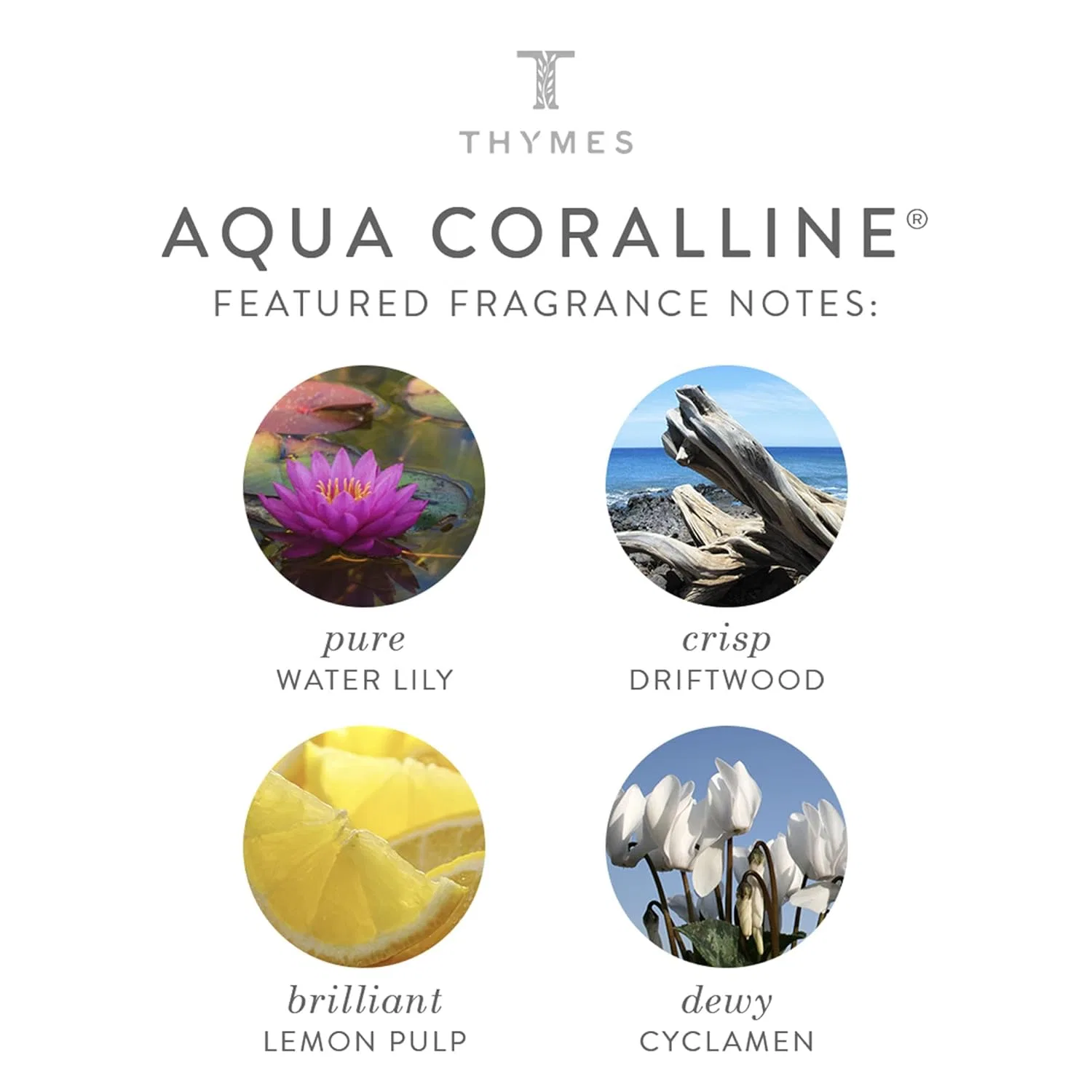 Туалетное мыло Aqua Coralline, Thymes, 170 г — фото 3