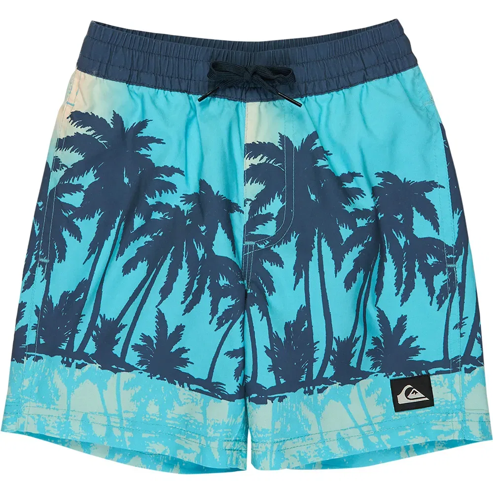 Плавки Everyday Printed Volley 13´´ Quiksilver, синий