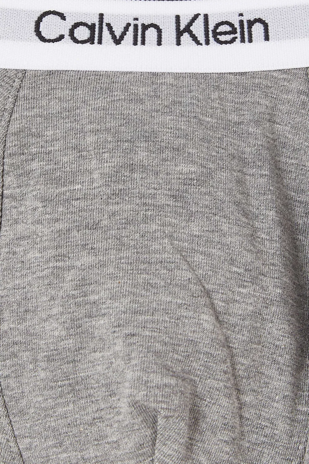 Трусы хлопковые комплект из 2 штук Icon Cotton Stretch Calvin Klein, серый — фото 3