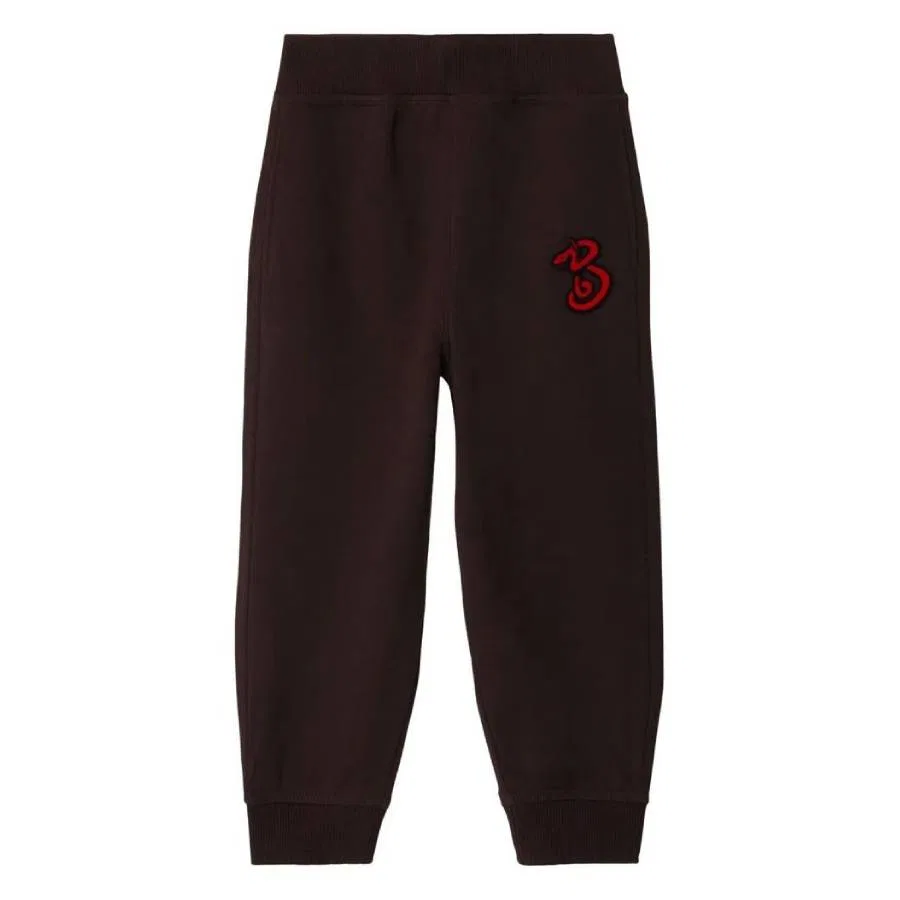 Брюки спортивные хлопковые с принтом Kids Jackson Snake Burberry, Peat