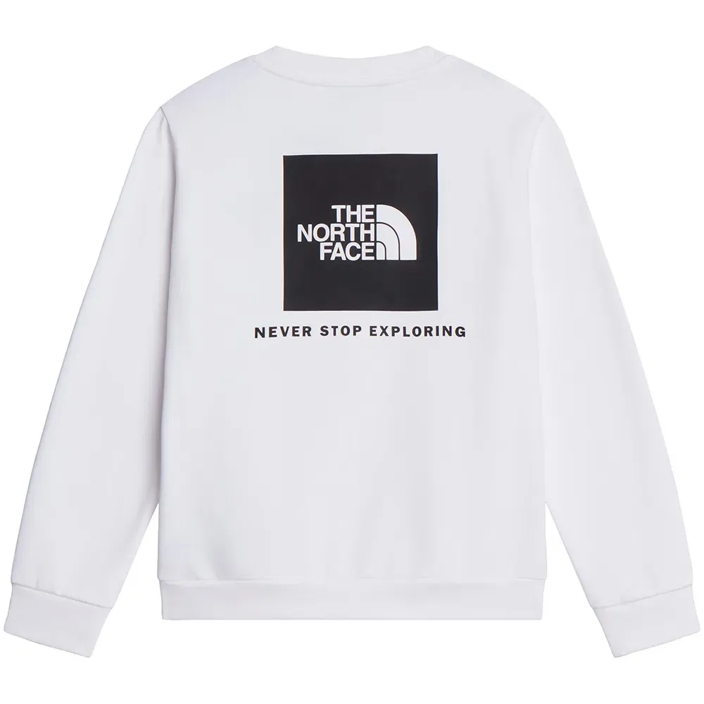 Детский свитшот для девочек с принтом Evolution Box NSE The north face, White — фото 4