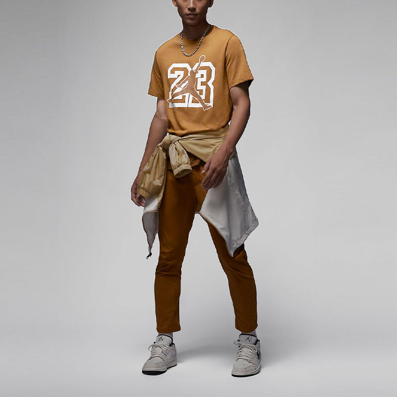 

Мужская футболка Jordan, цвет Brown