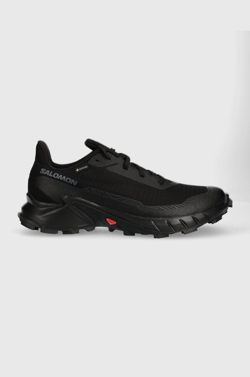 

Обувь Salomon Alphacross 5 GTX, черный