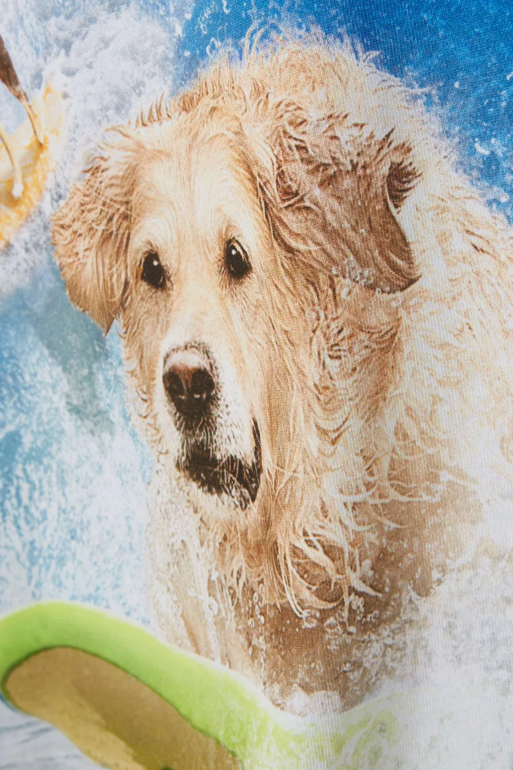 Футболка с принтом Surf Dog Molo, синий — фото 4