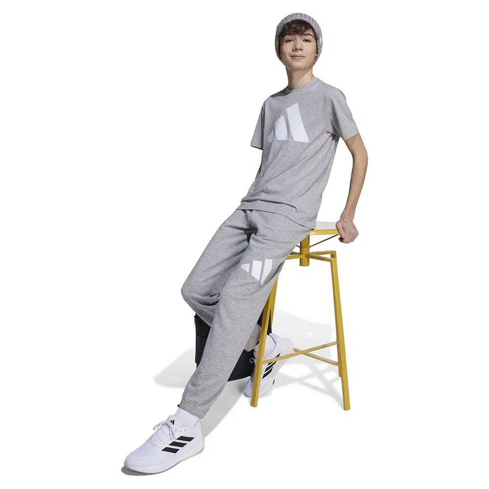 Брюки Adidas Essentials joggers, серый — фото 3