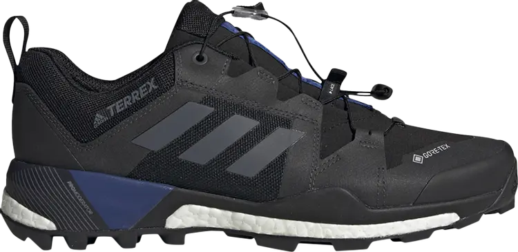 

Кроссовки Adidas Wmns Terrex Skychaser XT GORE-TEX 'Black Real Blue', черный