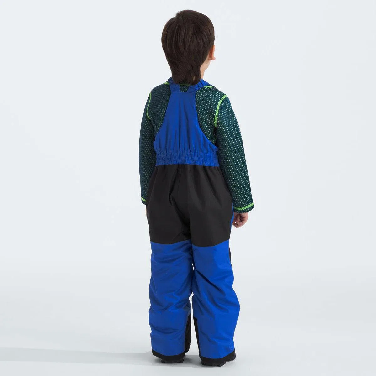 Утепленный полукомбинезон Freedom Insulated NF0A88VM The North Face, TNF Blue — фото 3