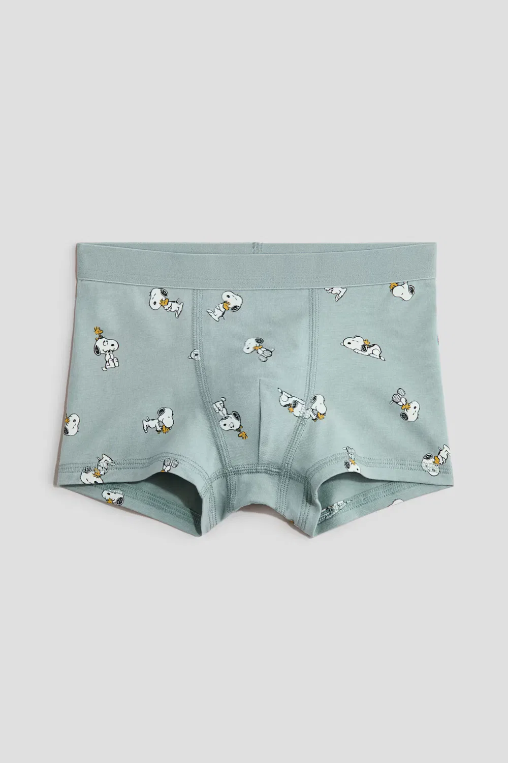 Комплект из 5 хлопковых боксеров с принтом H&M, Matttürkis/Snoopy — фото 2