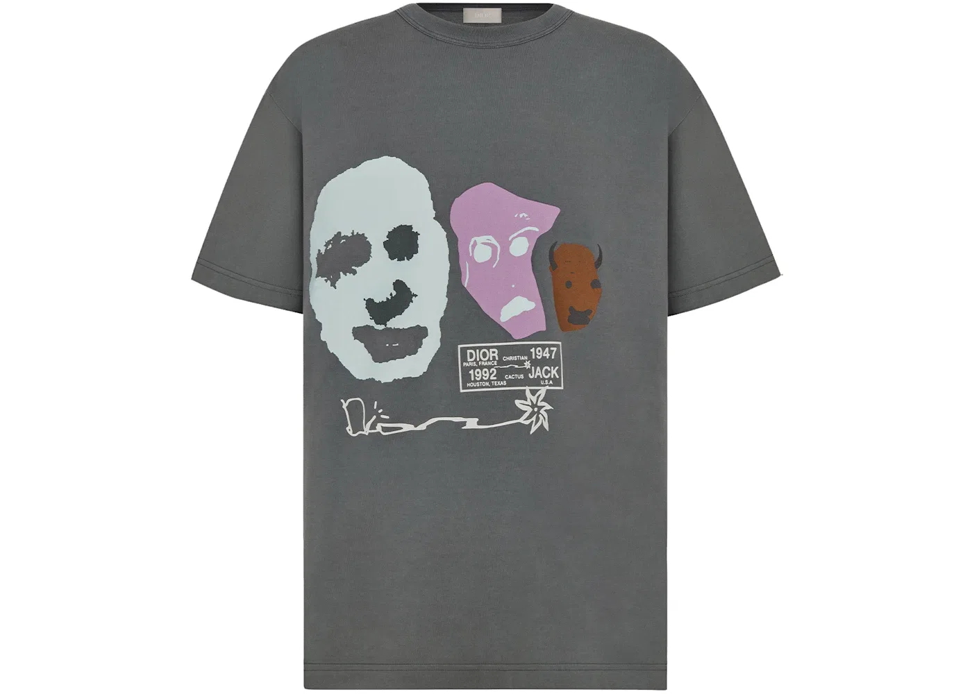 Мужская футболка оверсайз Dior x CACTUS JACK T-shirt Dior, Gray/Multicolor