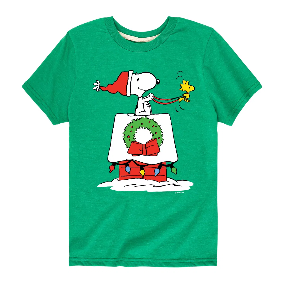 Футболка с коротким рукавом и принтом Snoopy & Woodstock House Sleigh Peanuts, Kelly Green