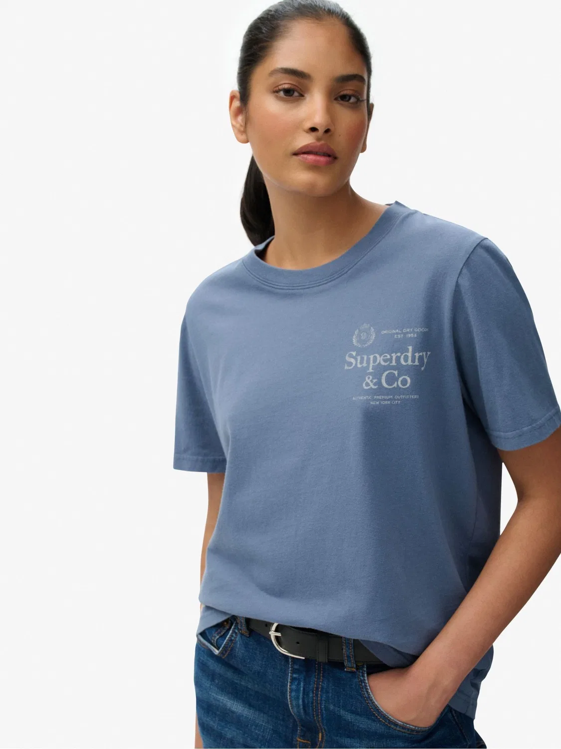 Футболка с принтом, Slim Fit, Luxe Casual Superdry, синий