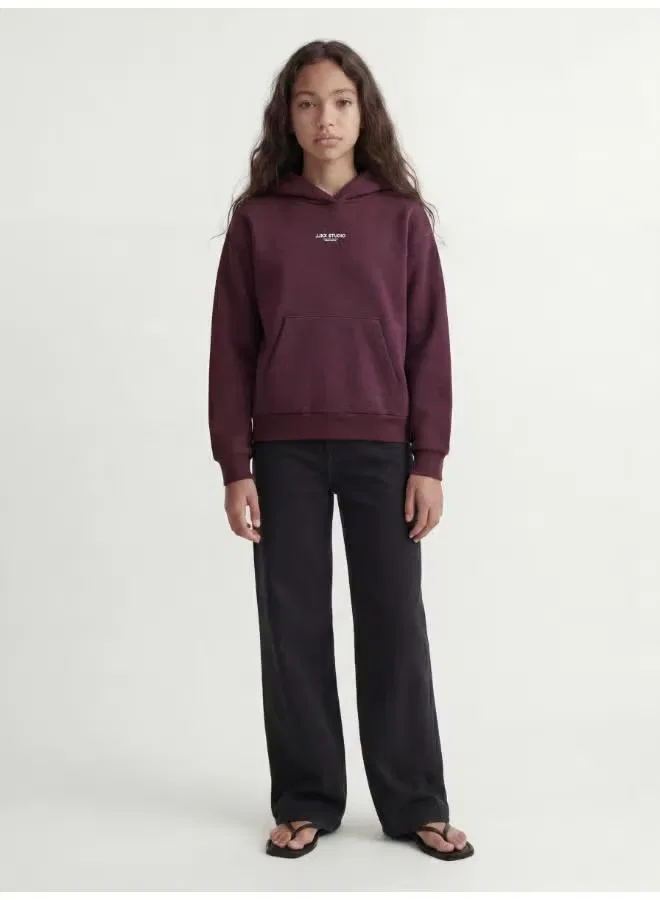Худи с логотипом Youth regular fit Jack & Jones Junior, винный — фото 4