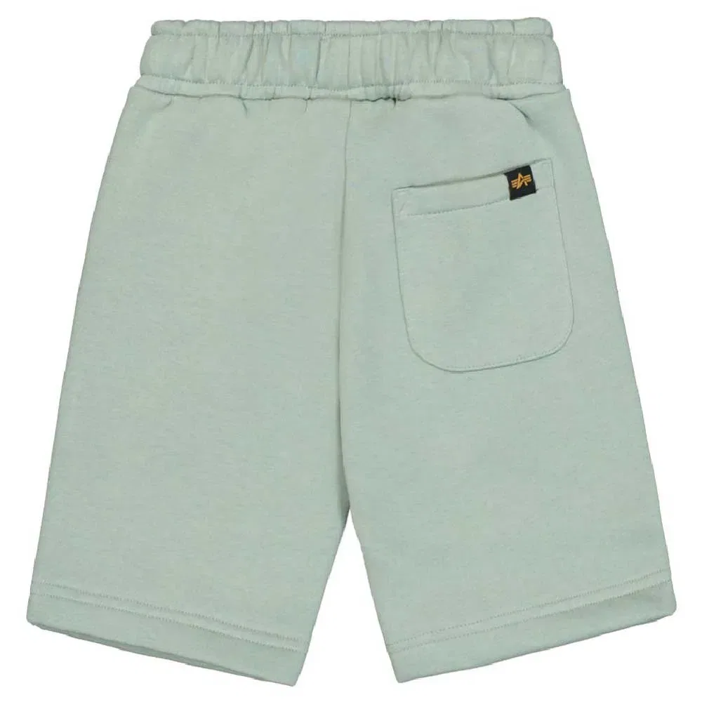 Шорты Alpha Industries Basic SL, зеленый — фото 2