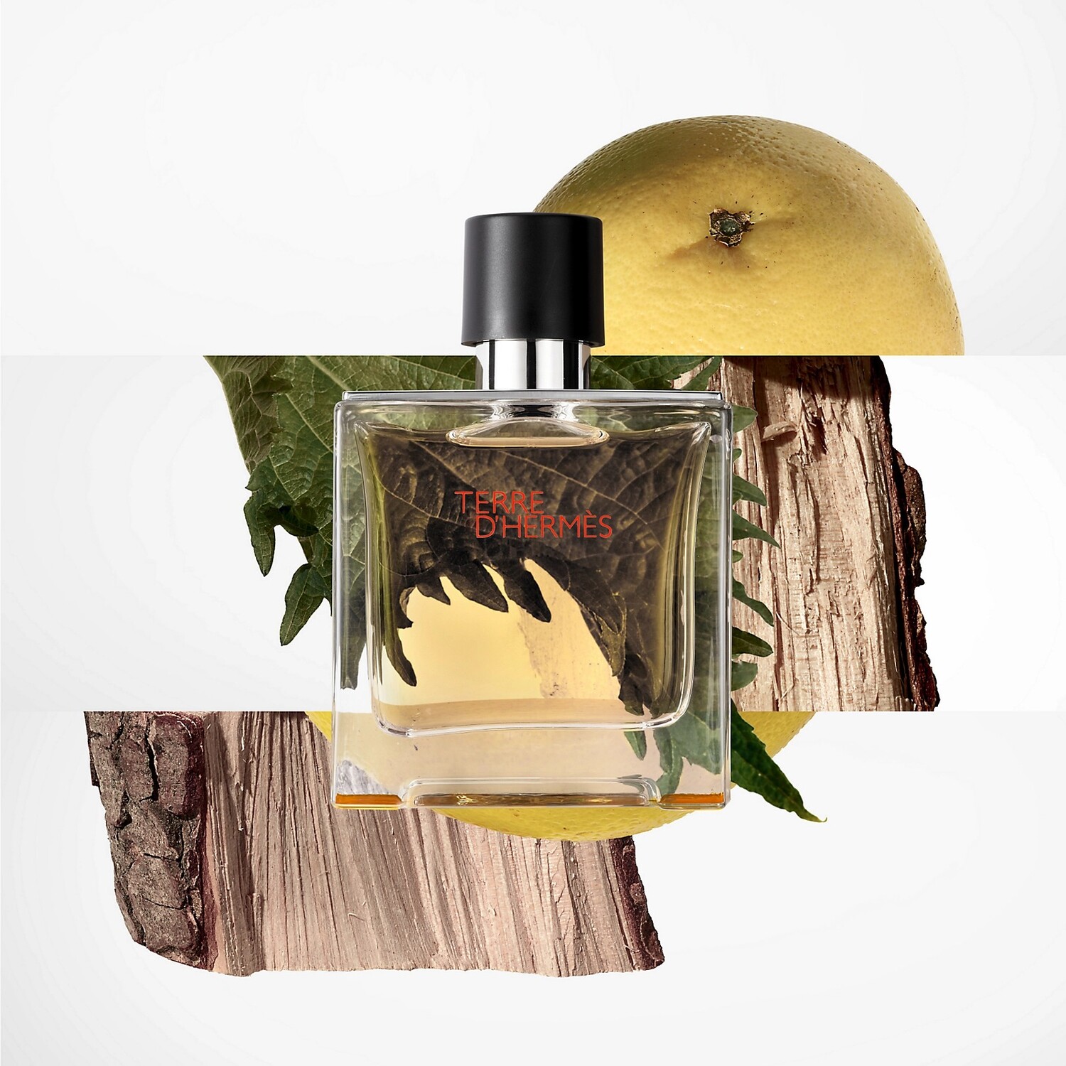 Духи Hermès Terre D'Hermes Pure — фото 3