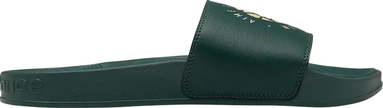 

Сандалии New Balance Aimé Leon Dore x 200 Slides 'Botanical Green', зеленый