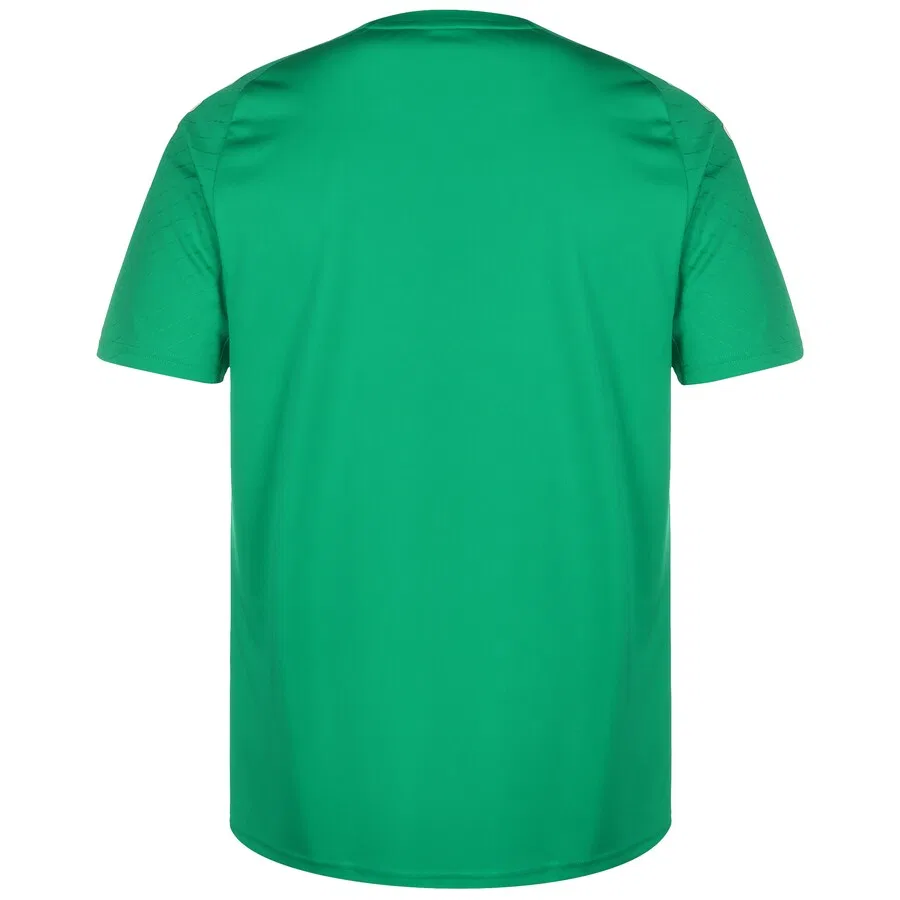 Футболка ADIDAS PERFORMANCE Performance Shirt 'Campeon 23' зеленого цвета — фото 2