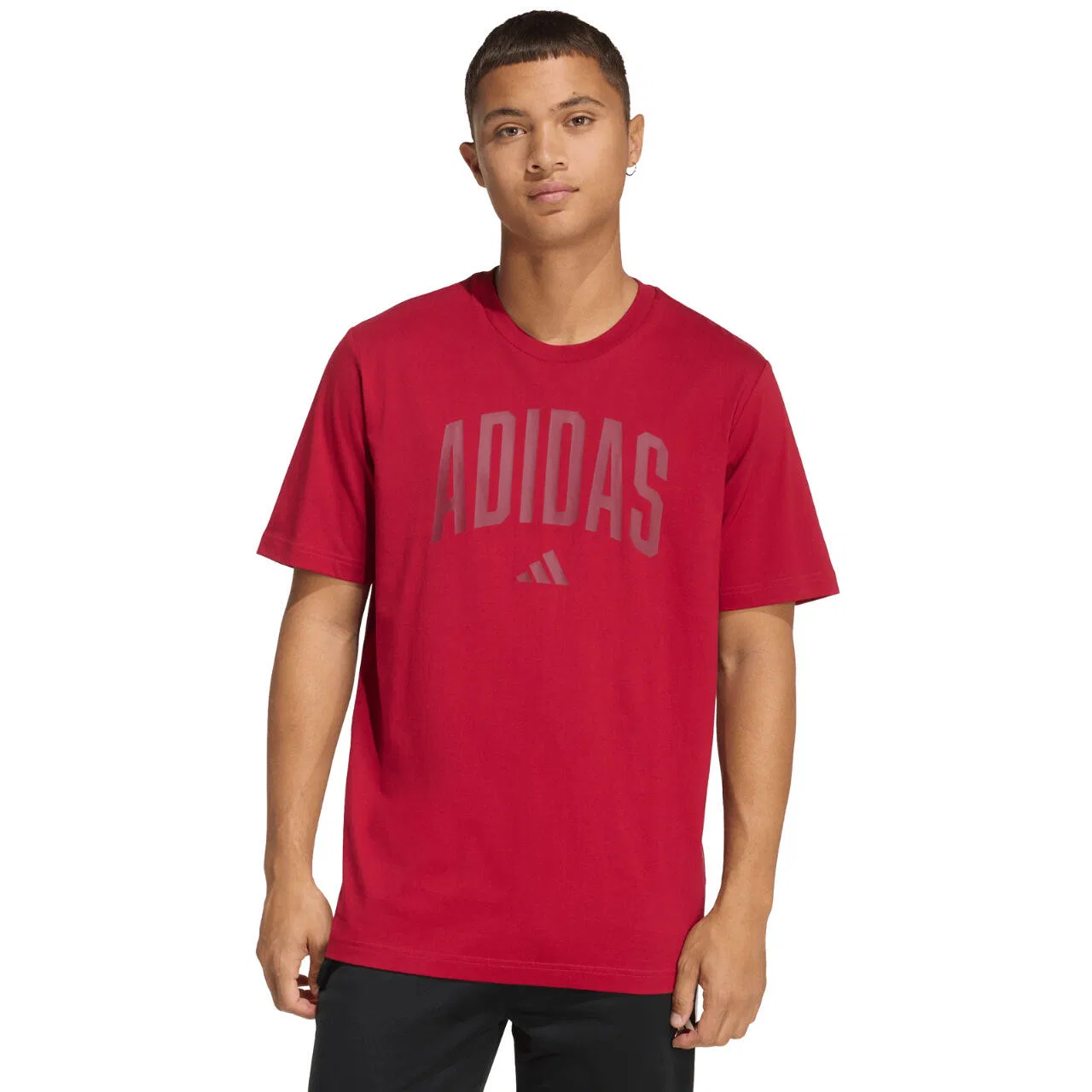 Мужская хлопковая футболка Collegiate Lineage adidas, Rot