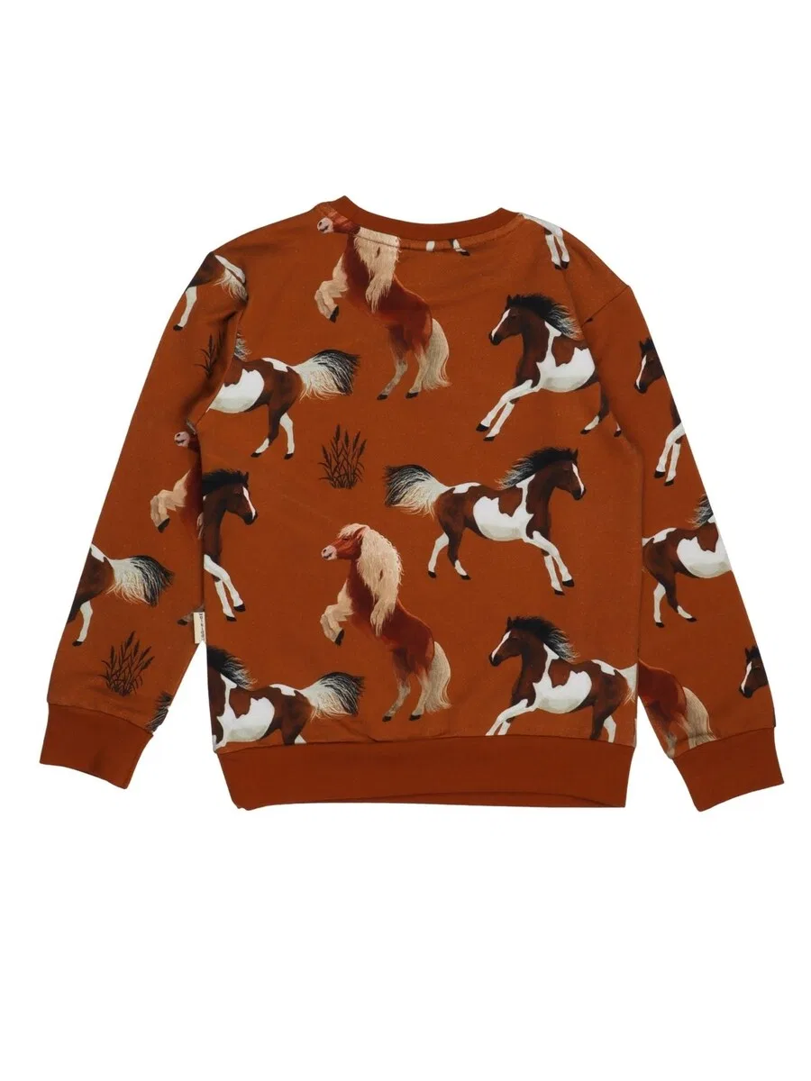 Толстовка Walkiddy 'Walkiddy - Joyful Horses Sweatshirt' коричневого цвета — фото 2