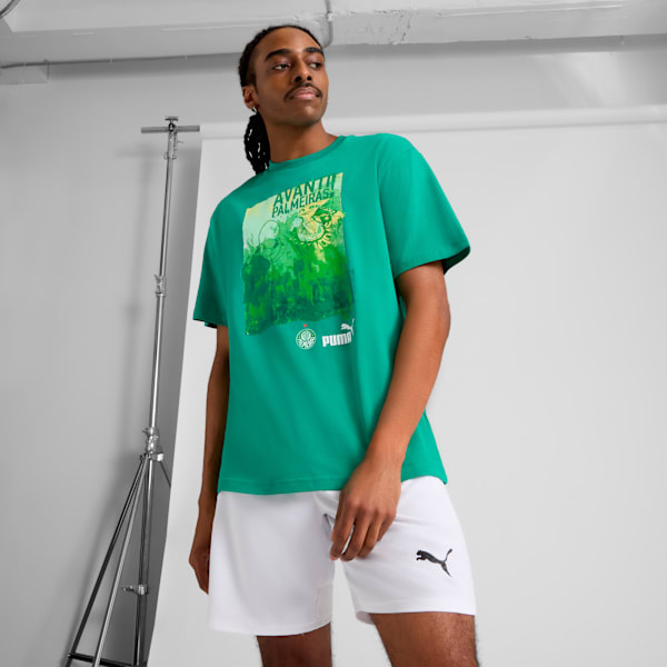 

Мужская футболка Se Palmeiras Puma, зеленый