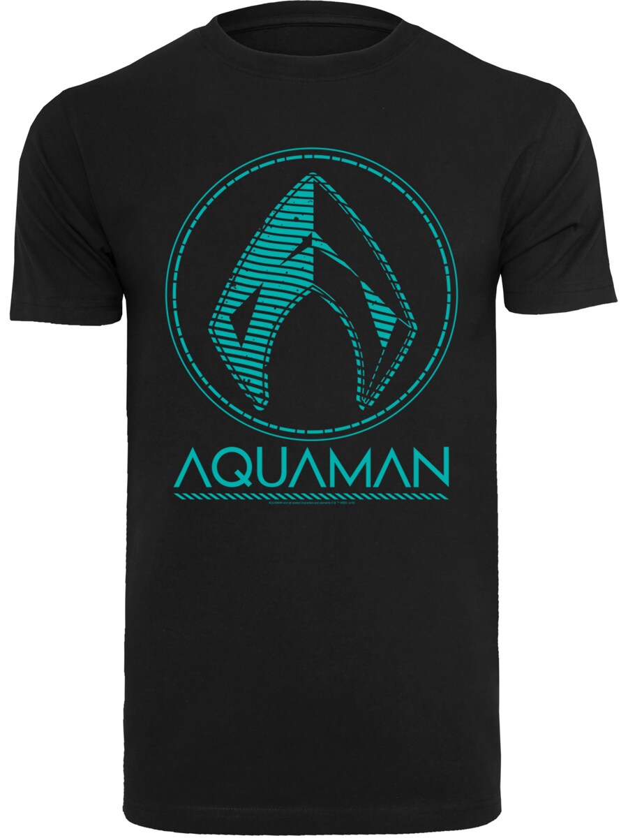 

Классическая футболка F4NT4STIC Shirt DC Comics Aquaman, черный