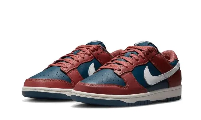 Детские кроссовки с ретро-дизайном Dunk Low Retro Nike, Canyon Rust White Blue — фото 2