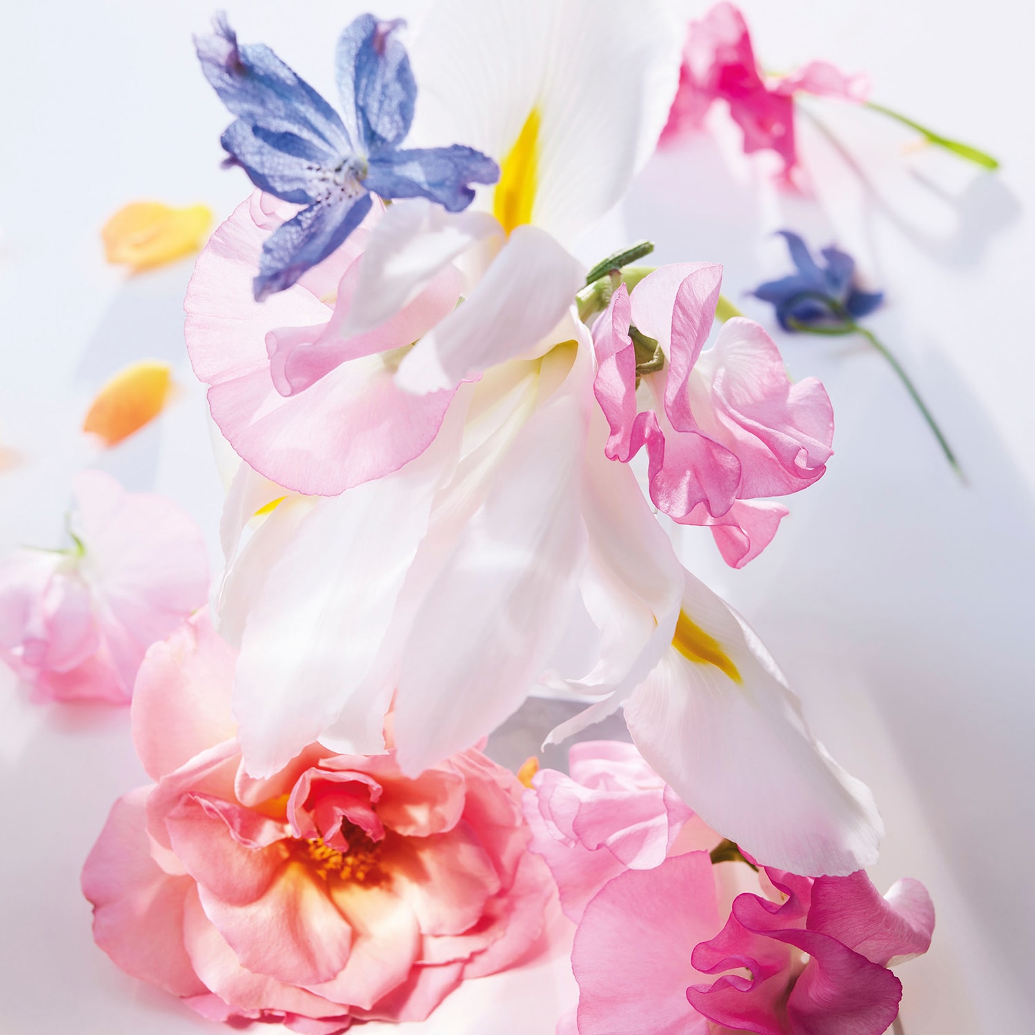 Парфюмерная вода DIOR Miss Dior Roller-Pearl, 20 мл — фото 4