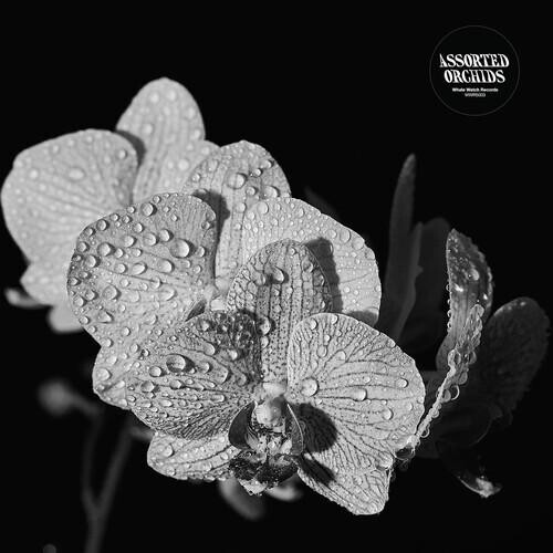 

Виниловая пластинка Assorted Orchids