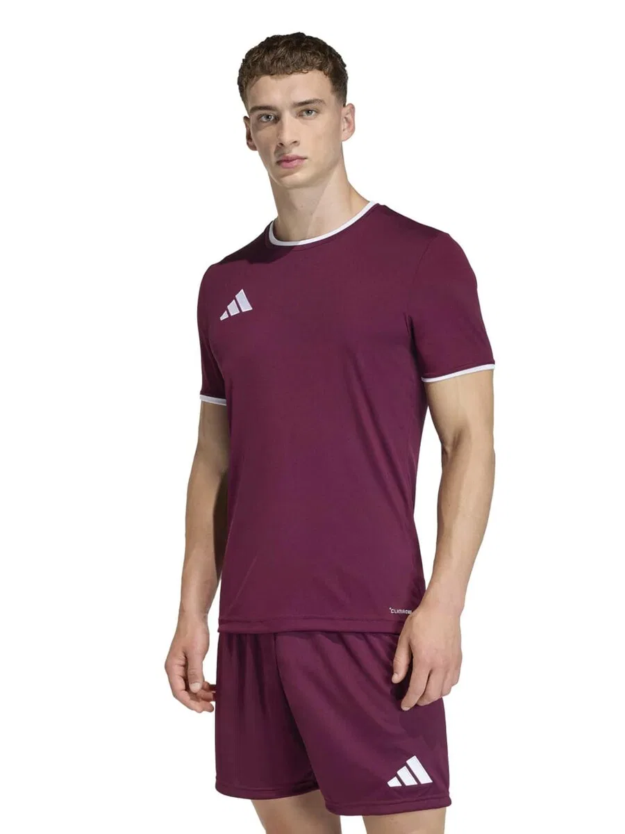 Спортивная футболка ADIDAS PERFORMANCE Performance Shirt 'Entrada26' бордового цвета — фото 3