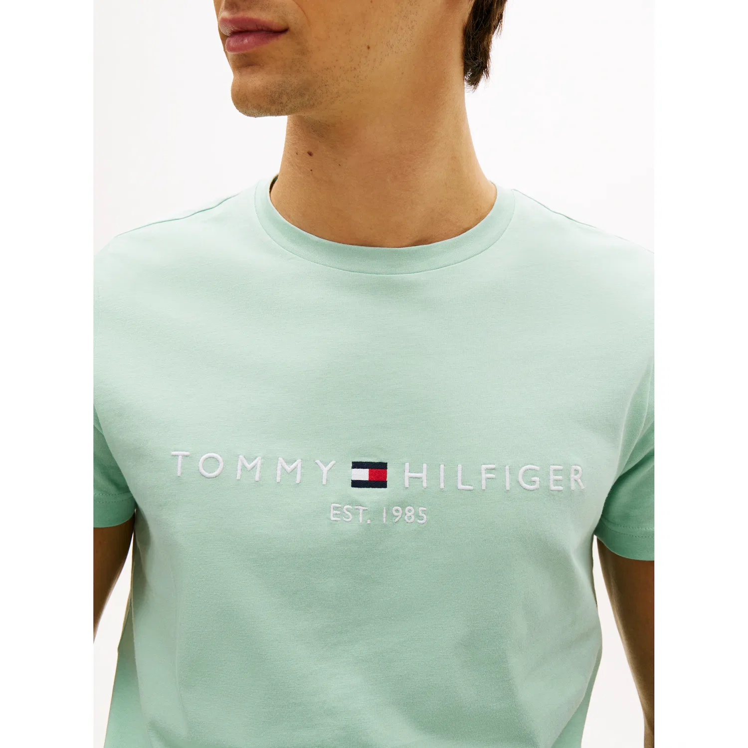 Мужская футболка с логотипом Tommy Hilfiger, Crushed Mint — фото 2