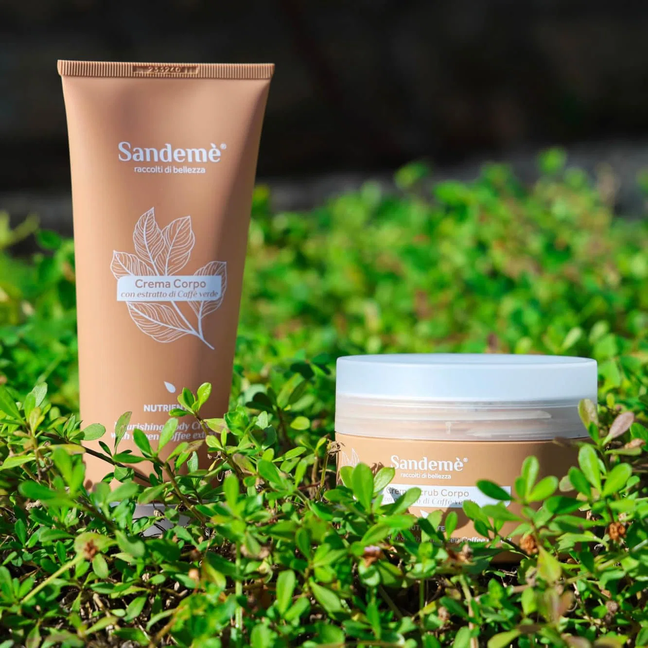 Крем для тела с экстрактом зеленого кофе, SANDEMÈ, 200 ml — фото 2