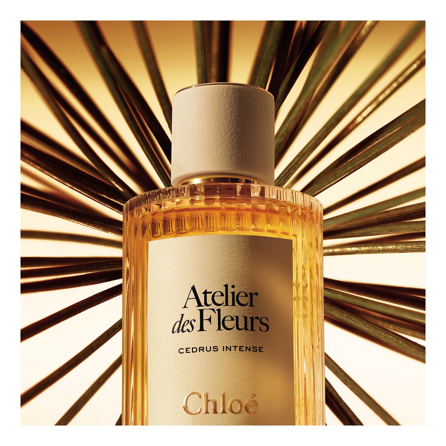 Парфюмерная вода Chloé  Atelier des Fleurs Cedrus Intense — фото 2