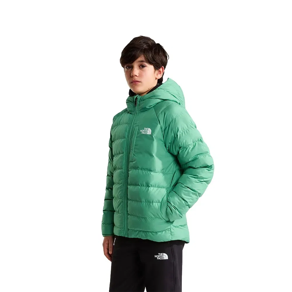 Детская куртка для мальчиков с капюшоном Reversible Perrito The north face, Green