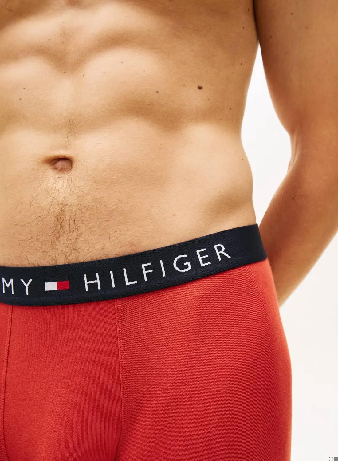 Боксеры-брифы эластичные хлопковые, комплект из 3 штук, Tommy Hilfiger, темно-серый — фото 4