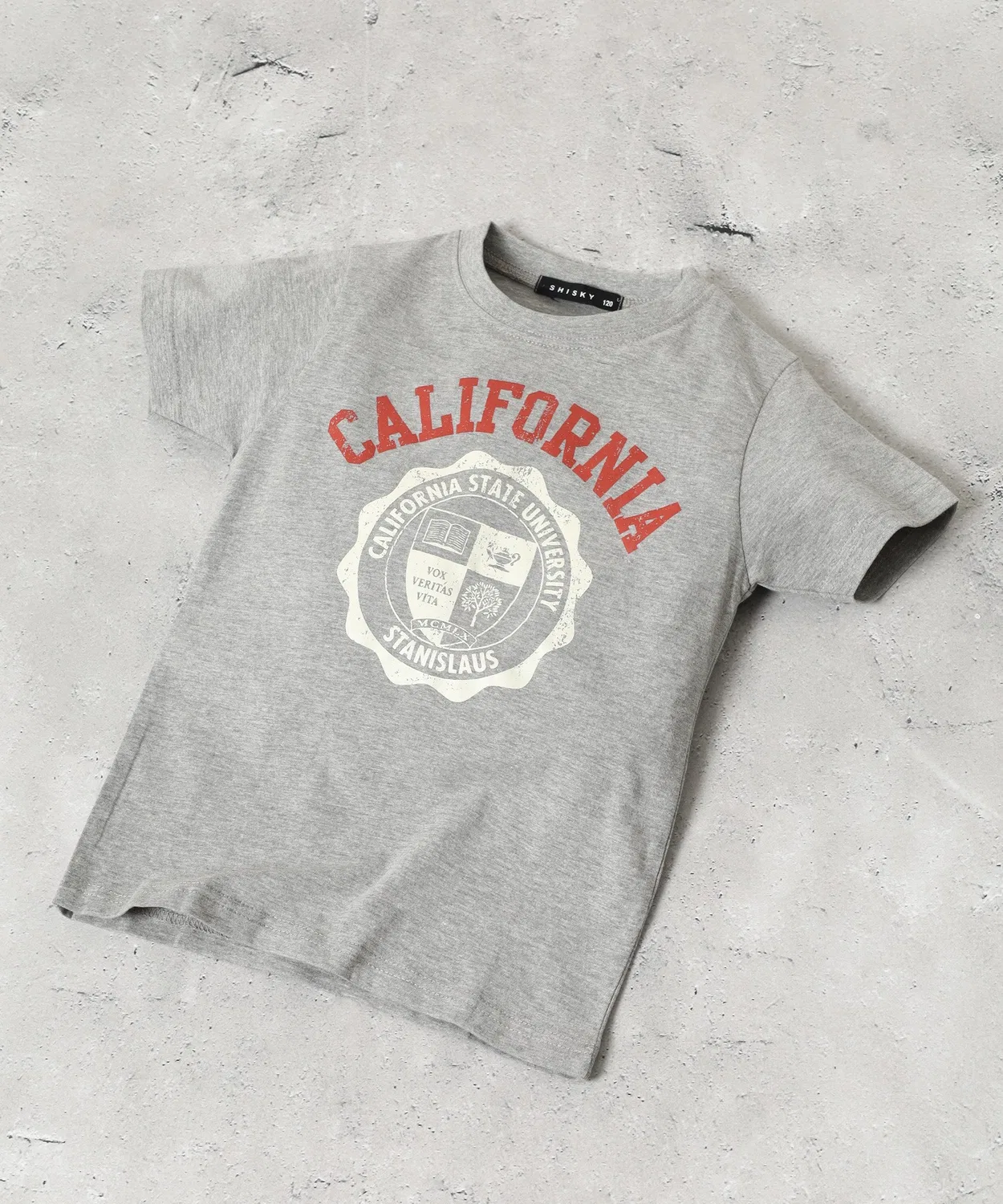 Детская футболка с принтом College Logo FUNALIVE, Heather Grey