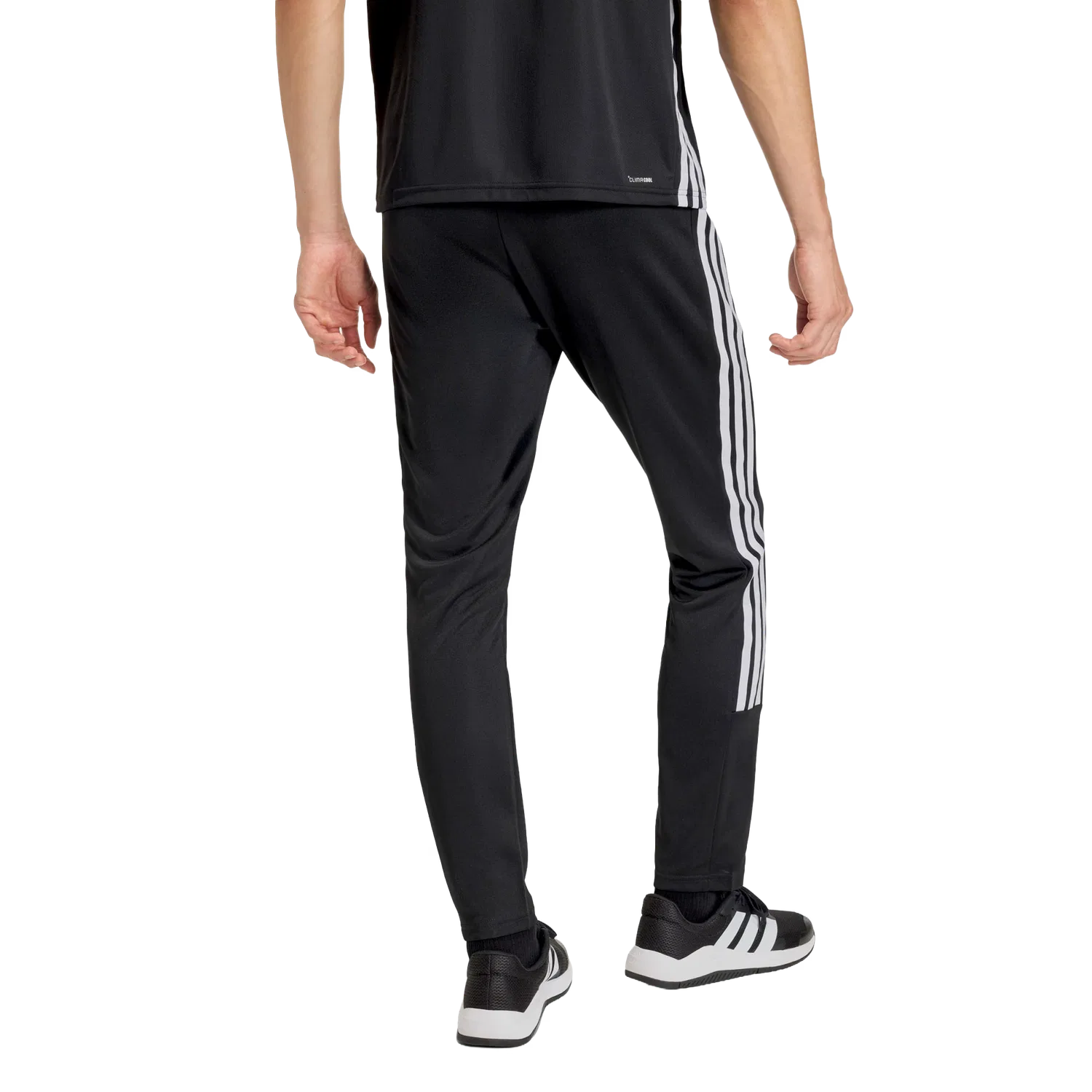 Мужские спортивные штаны с тремя полосками Adidas, черный — фото 3