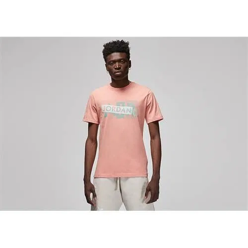 Мужская футболка с принтом Nike Air Jordan Brand Graphic, Nike, Rosa