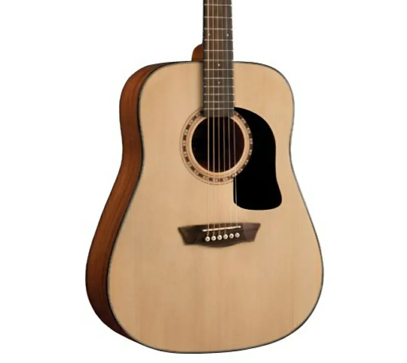 

Акустическая гитара Washburn D5 Apprentice Series Dreadnought Acoustic Guitar
