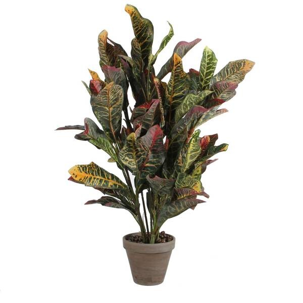 

Декоративное растение Mica Decorations Croton, зеленый