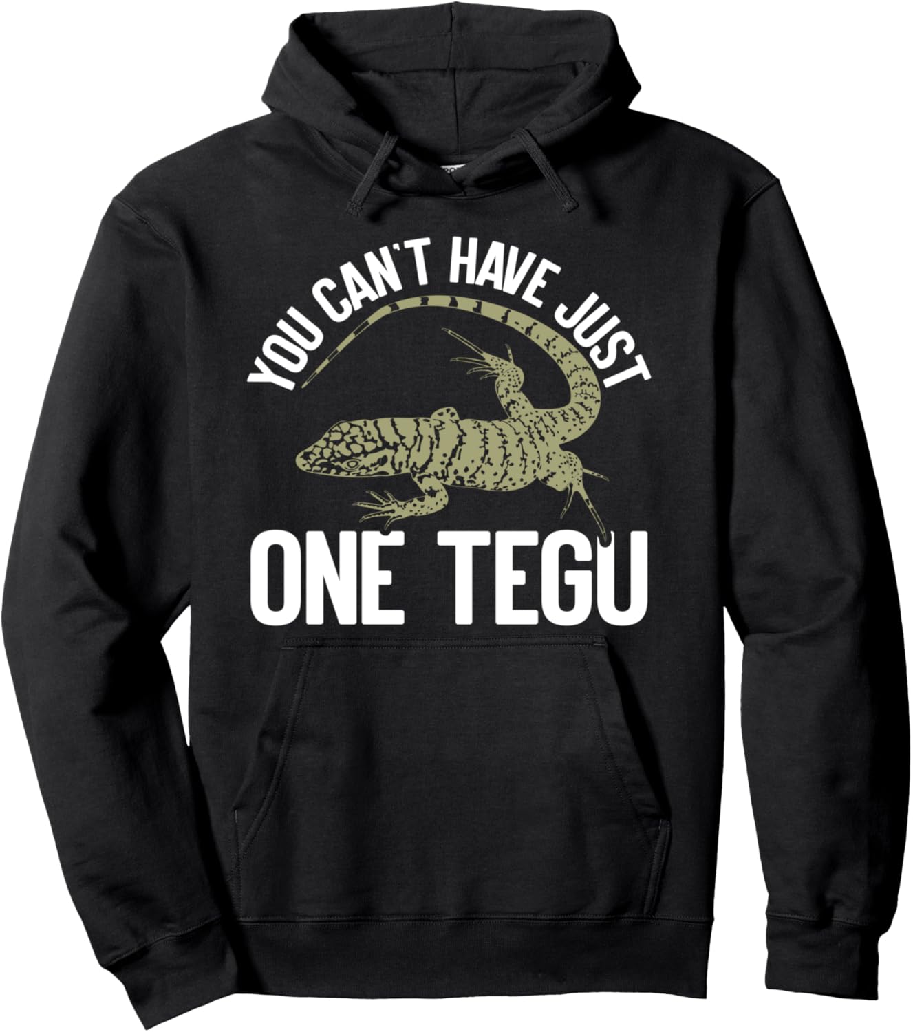 

Толстовка с изображением ящерицы Таэгу, любящей ящериц Tegu Clothes & Lizard Owner Accessories, черный