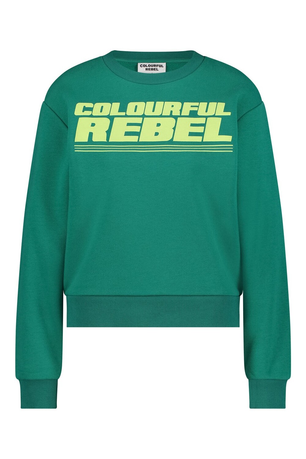 

Толстовка BOLD PUFF LOGO RELAXED Colourful Rebel, зеленый