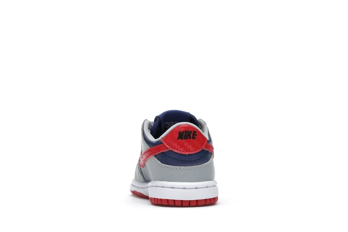 Детские кроссовки для мальчиков с кожаным верхом Nike Dunk Low Nike, Hyper Blue/Samba-Silver — фото 4