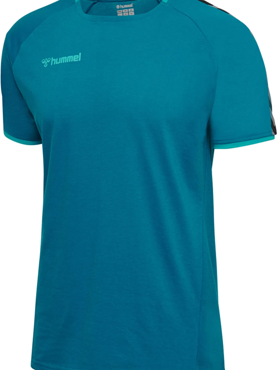 Детская футболка с коротким рукавом Hmlauthentic Hummel, Helles Himmelblau / Blau