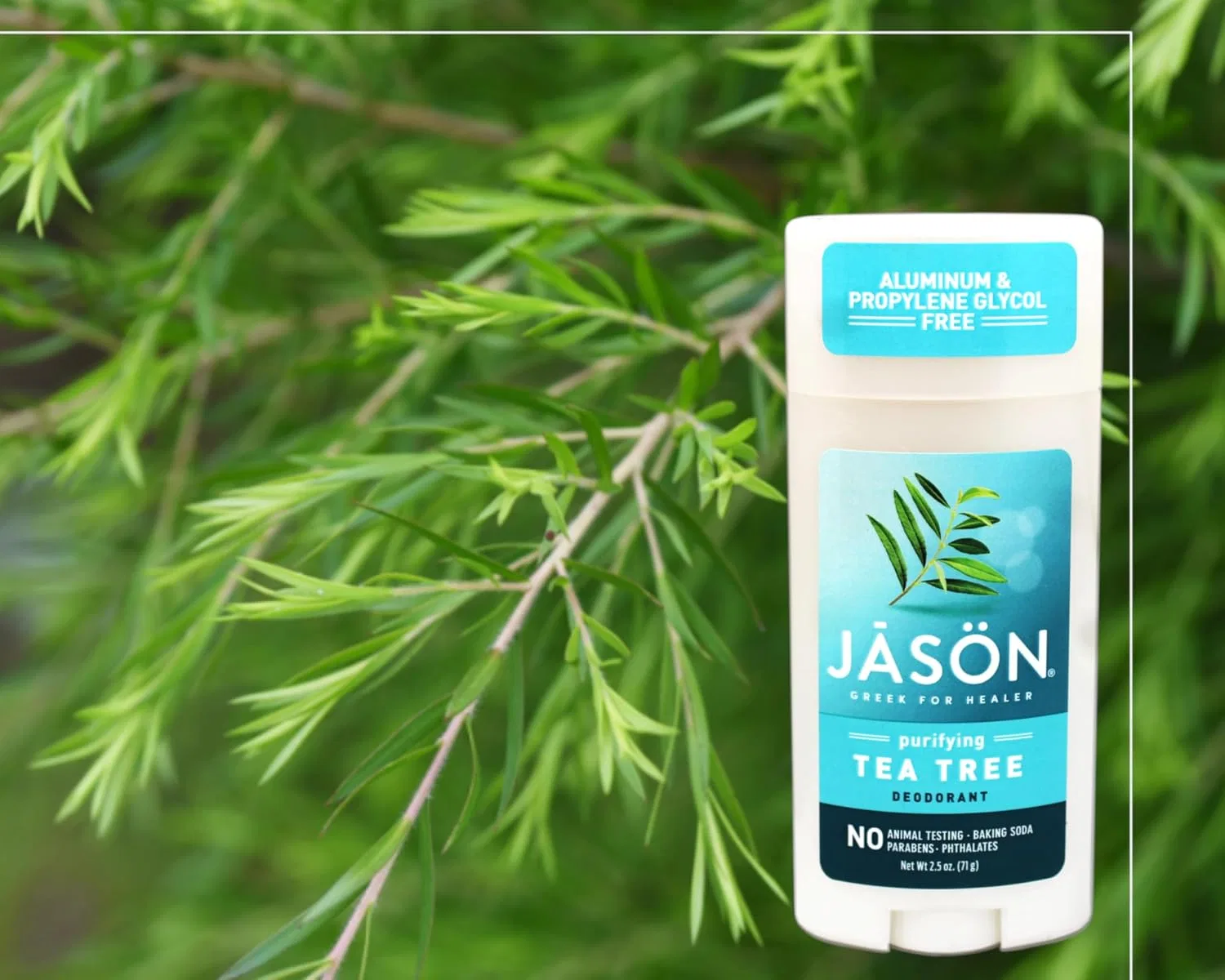 Дезодорант-стик Tea Tree, Jason, 70 г — фото 4