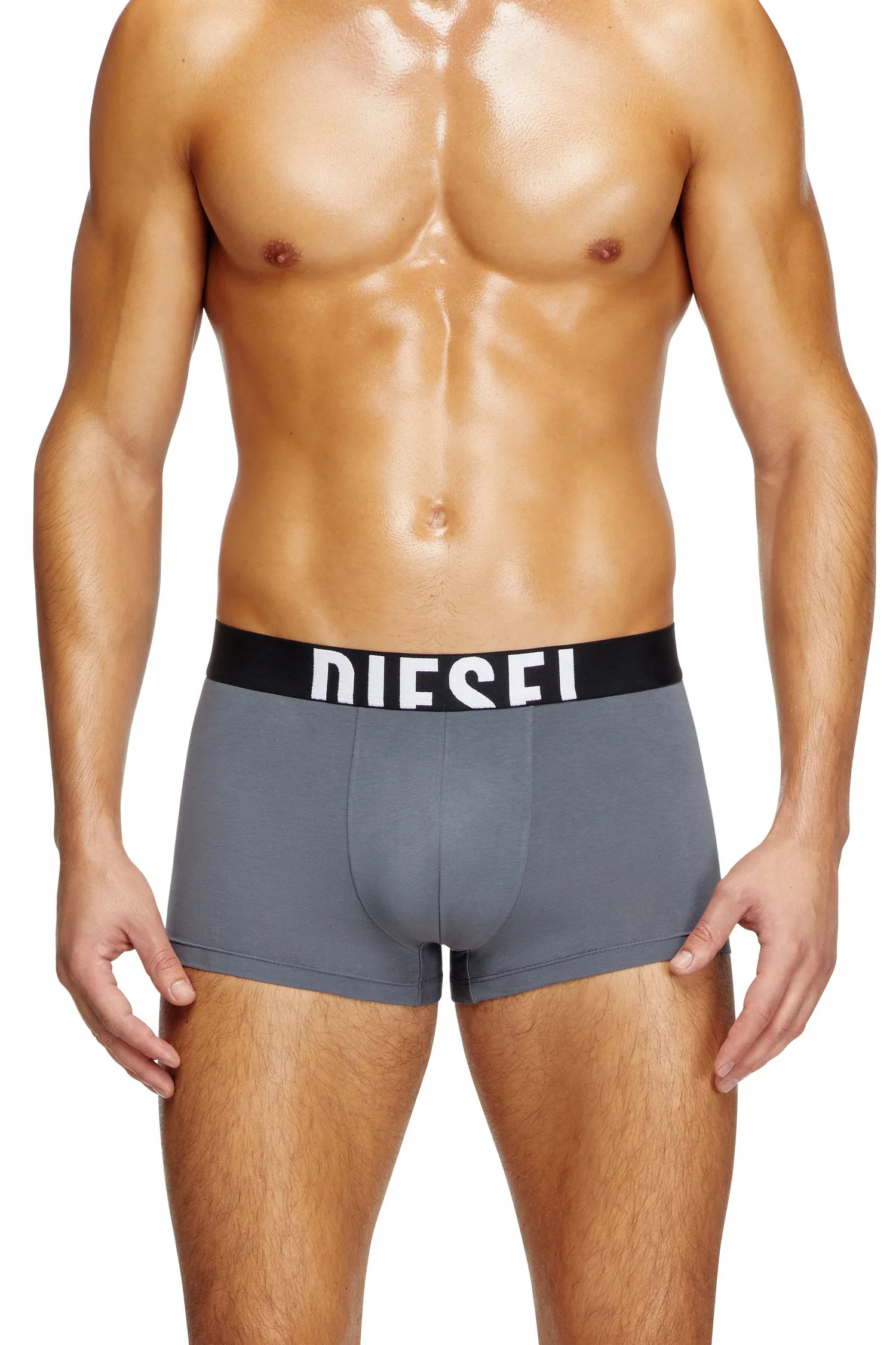 Мужские боксерские шорты DAMIEN-D-POP-40 Diesel, gray — фото 4