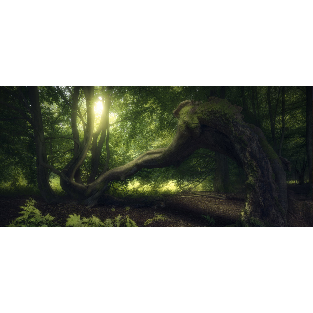 

Аксессуары N3 Art N3 Deskmat: Senescent Tree (35" x 15")