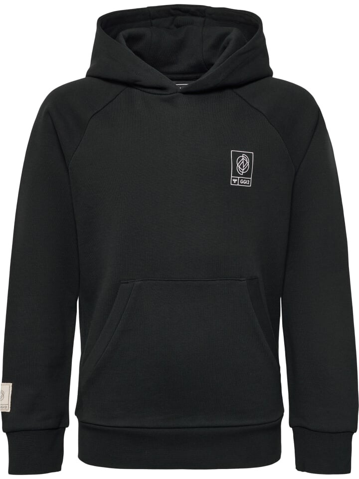 

Худи Hummel Hmlgg12 Multisport Kinder, черный