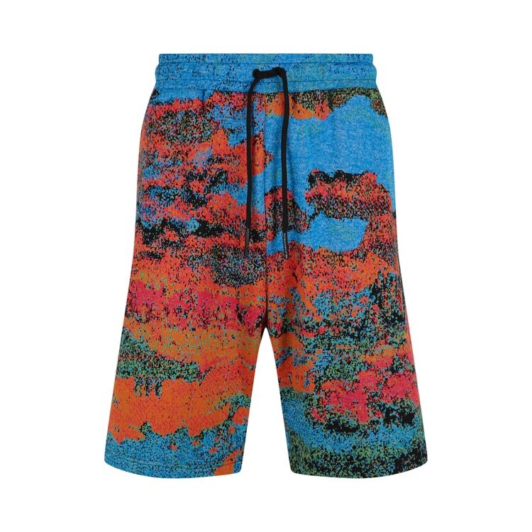 

Шорты Ambush Printed Bermuda Shorts, синий