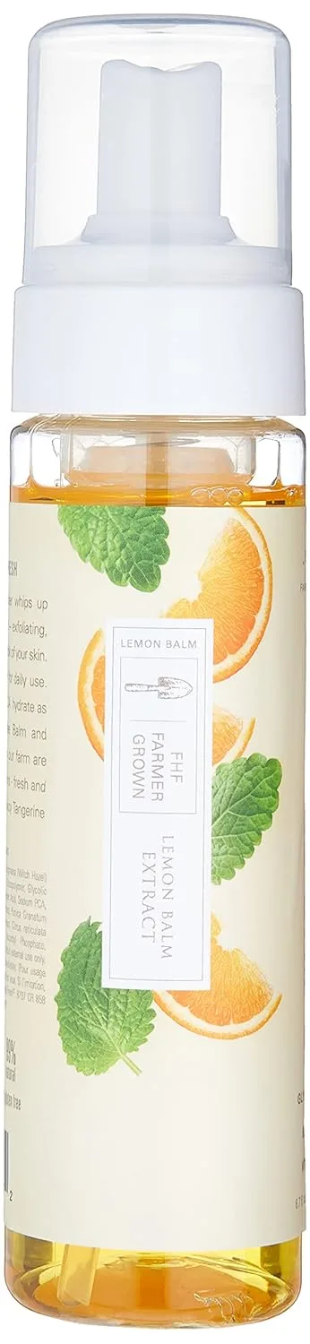 Пенка для умывания Farmhouse Fresh — Гиалуроновая кислота, витамин С, гликолевая кислота. C the Future, ,7 жидких унций — фото 4